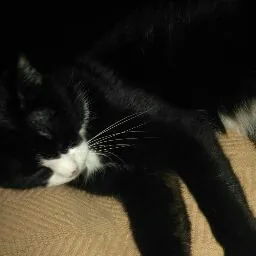 DennysAt4am