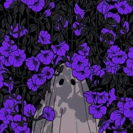 Fae Phæ