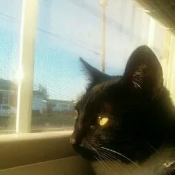 Zachary