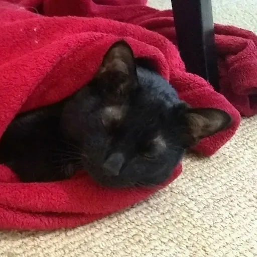 Skye