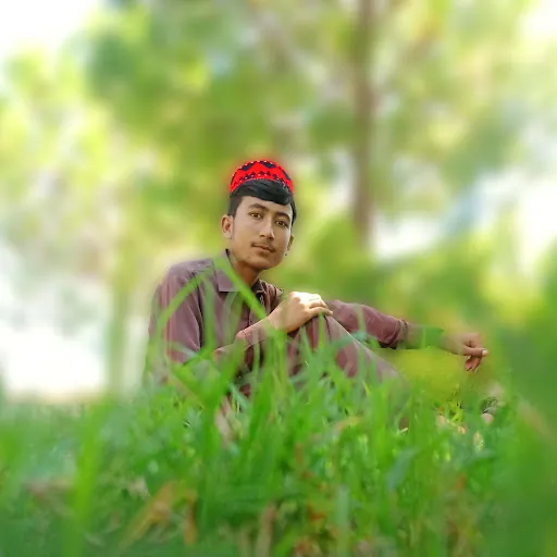 M Hamza