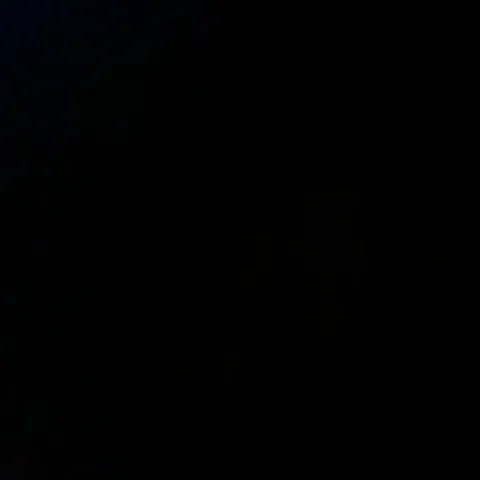 selin