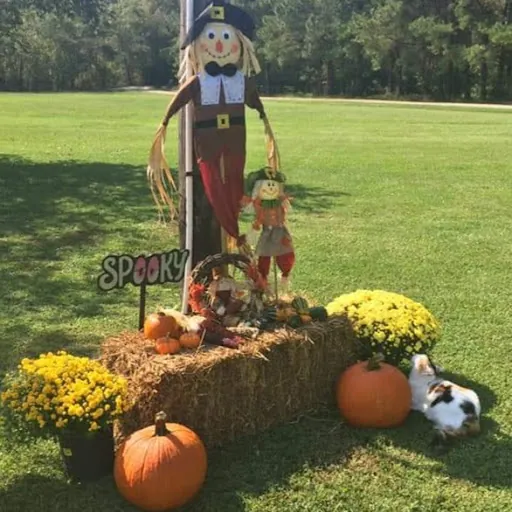 Kimberly Burroughs