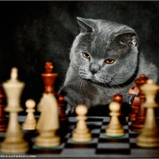 Master Game