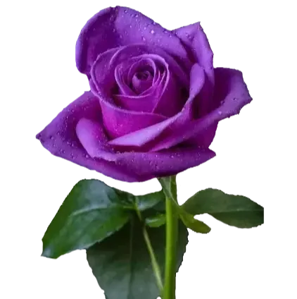 Azaz Patel