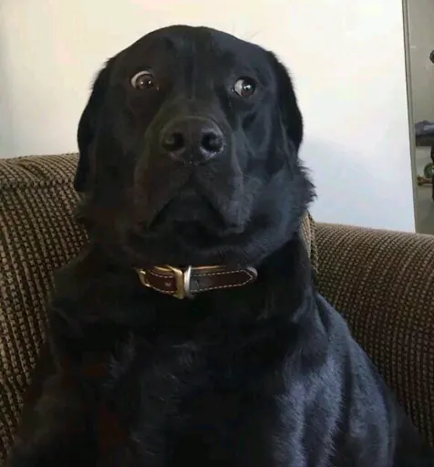 J J