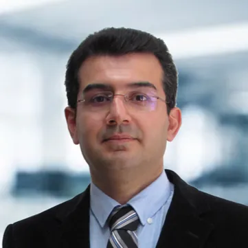 Mohsen M. Amrei