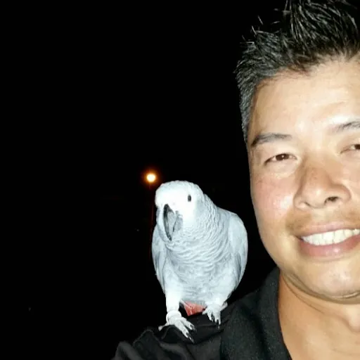 Jerry Cheng