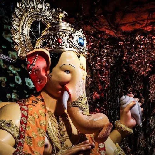 Ribha Digoldsis