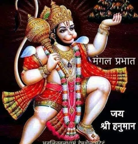 Harshkant Vasavada
