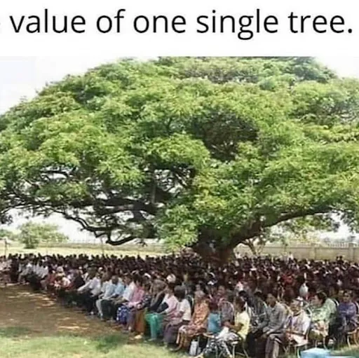 S B