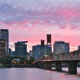 PDX