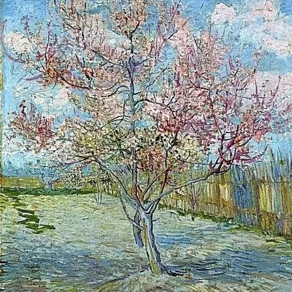 A. Boh