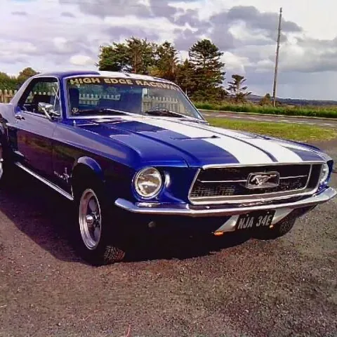 Rob Mustang