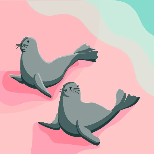 K C