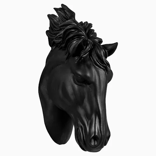 DARK HORSE