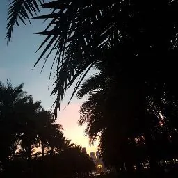 Asmahan Essa