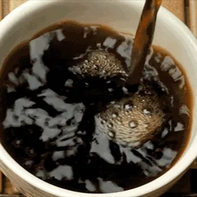 Adelante A Mi Cafe