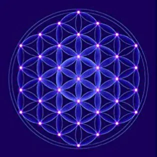 Fractal Codex