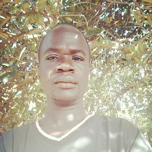 oloya chrispekarton