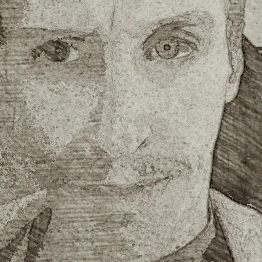 J. R. Bartko