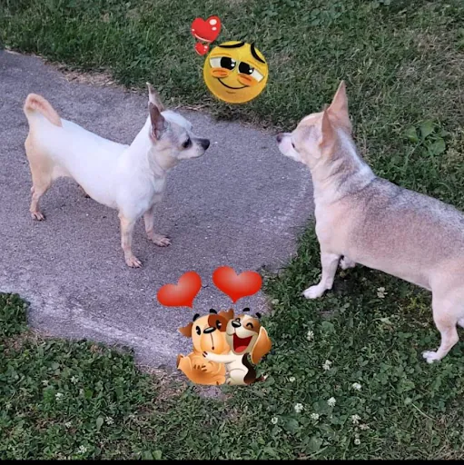 T B