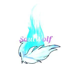 SoulWolf 26