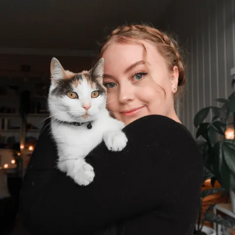 Ariel C Samdahl