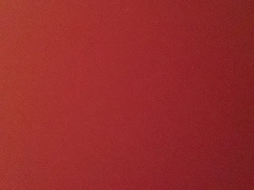 Ant