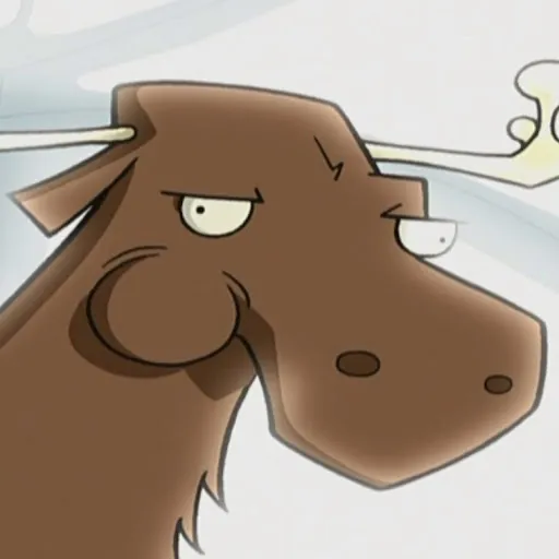 mooshy moose