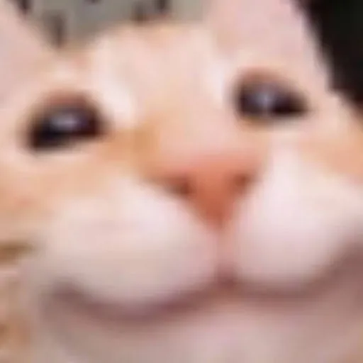 Karma DeAllister