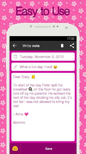 Diary with lock