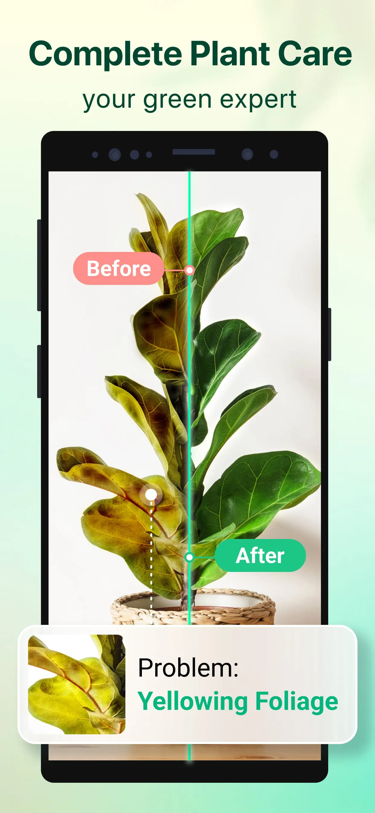 Plant Parent: Plant Care Guide
