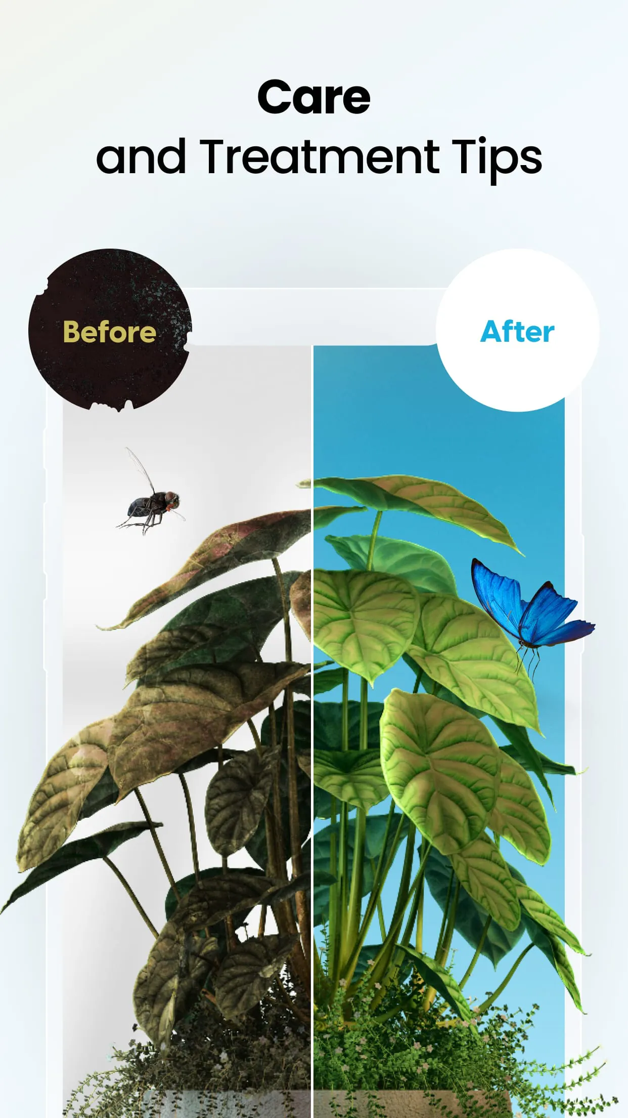 Plant App - Plant Identifier
