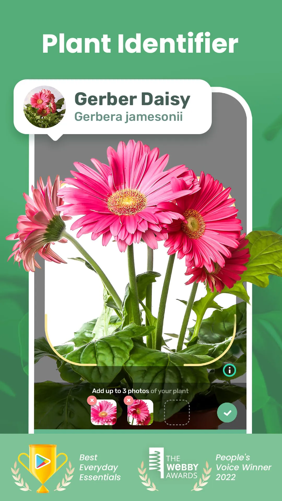 Blossom - Plant Identifier