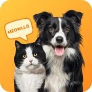 Pet Translator Prank: Dog, Cat