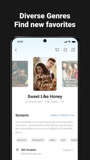 Stolybook