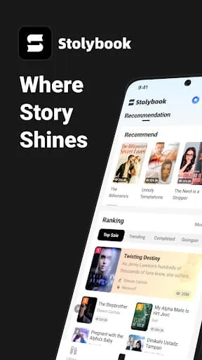 Stolybook