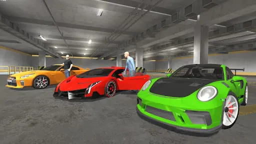 3Cars simulator