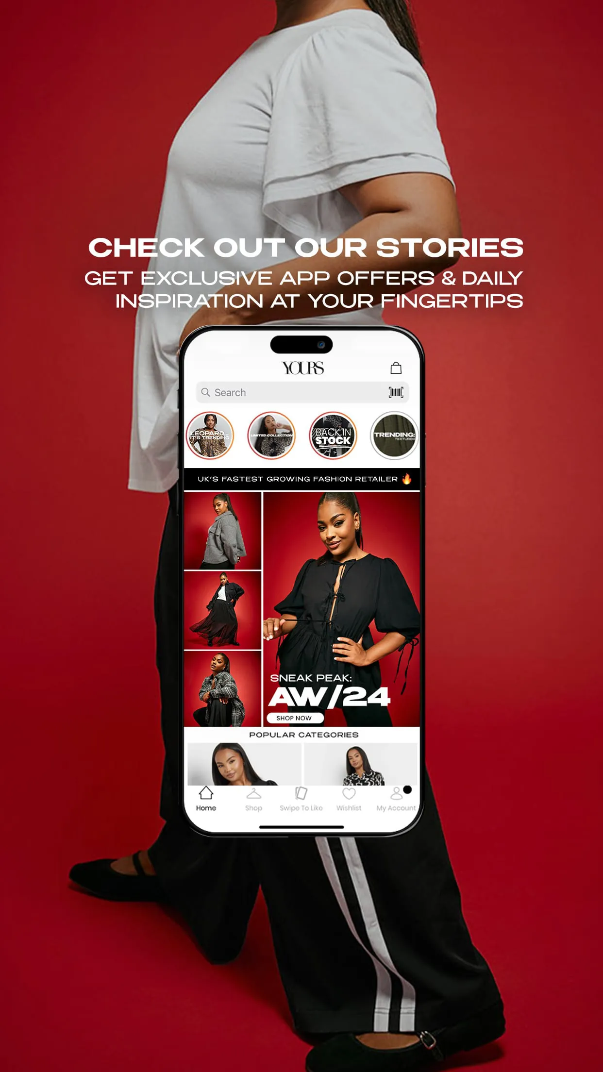 Yours Clothing | Curve Fashion