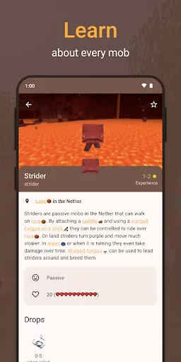 CleverBook for MC