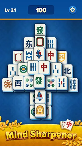 Mahjong Wonders™