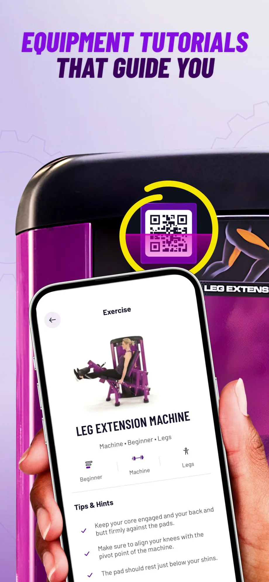 Planet Fitness Workouts