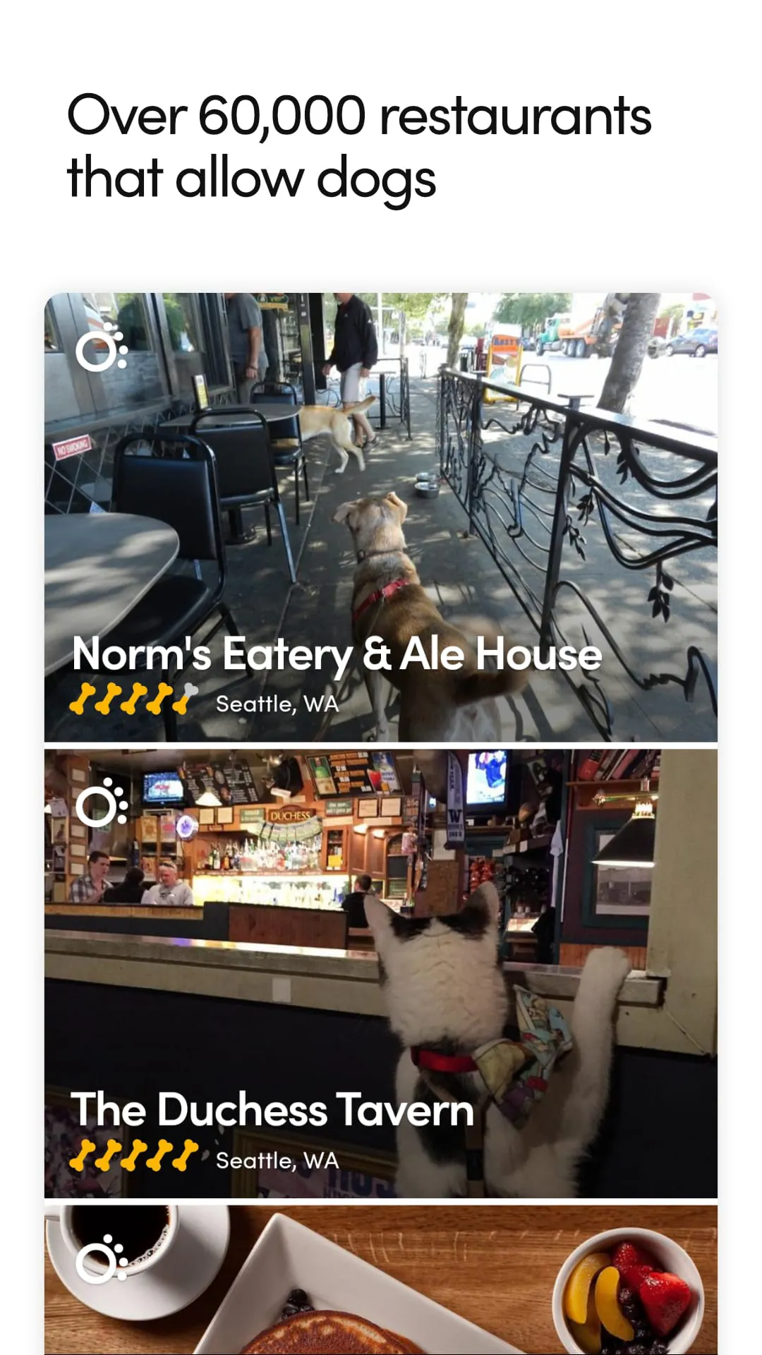 BringFido Pet Friendly Hotels