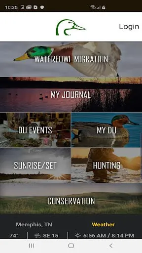 Ducks Unlimited