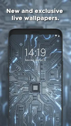 Wall.Engine Live Wallpapers 4K
