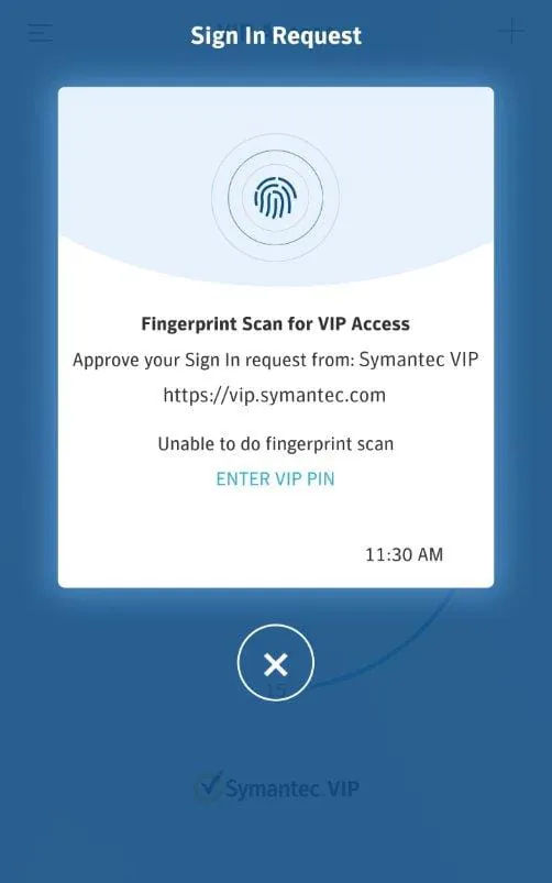 VIP Access