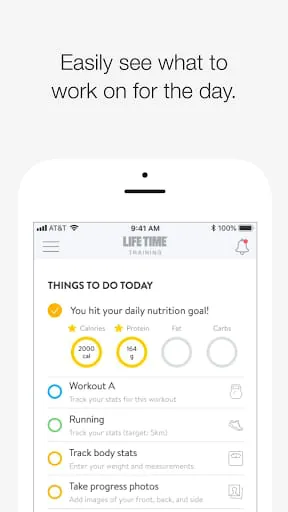 Life Time Training