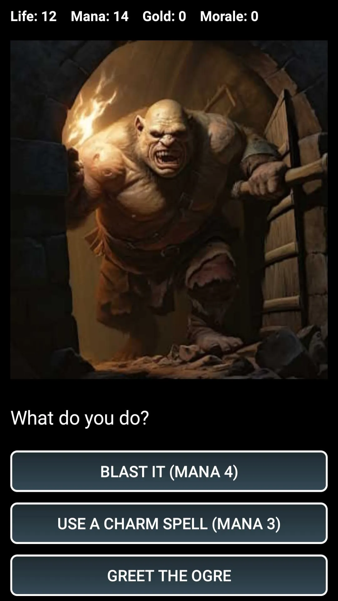 Dungeons and Decisions RPG