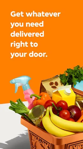 Skip - Delivery
